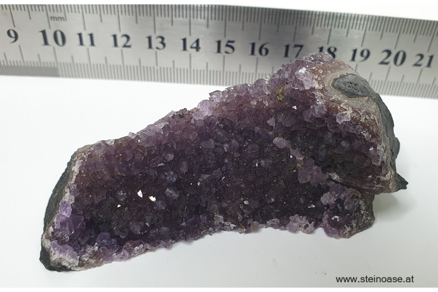 Amethyst Drusenstück  Uruquay